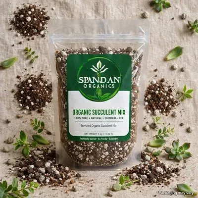 Succulent Mix 10 kg